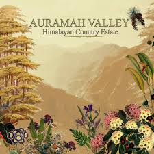 Auramah Valley