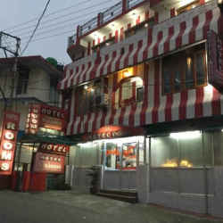 Hotel Padmini
