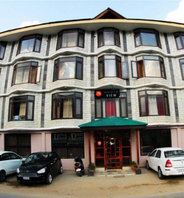 Hotel Hamta View Manali