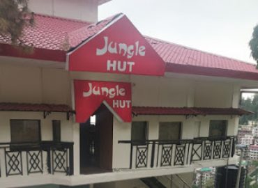 Jungle hut