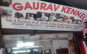 Gaurav Pet Shop