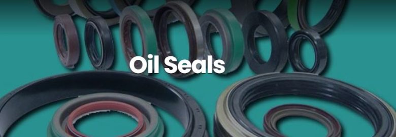 A2ZSeals – High-Quality Oil Seal for Industrial Applications