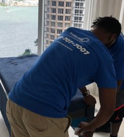 Pro Movers Miami