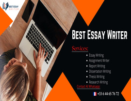 Best Essay Writer