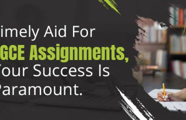 PGCE Assignment Help UK