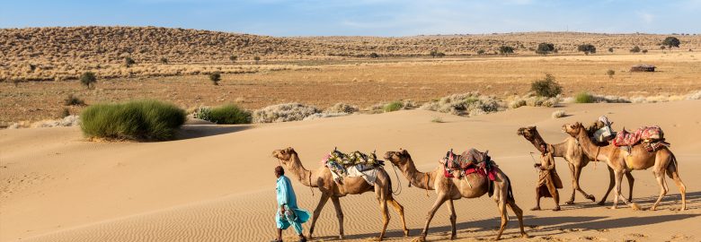 Rajasthan Tour Packages