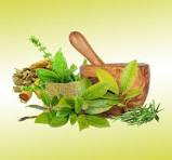 Best Ayurvedic Hospital In North India .