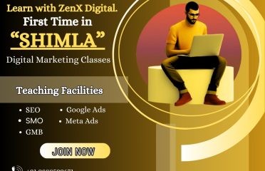 ZenX Digital Marketing Company in Shimla