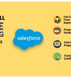 Almamate Info Tech: Best Salesforce Training