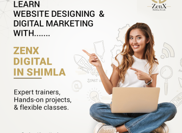 ZenX Digital Marketing Company in Shimla