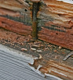 Pest Control Service in Melbourne