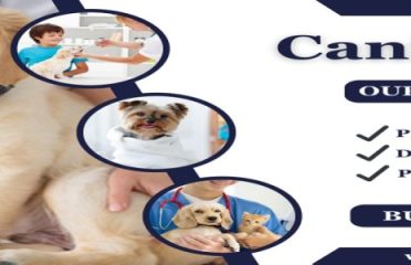 CaninKare