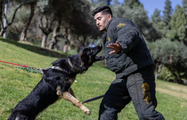 Israel Protection K9
