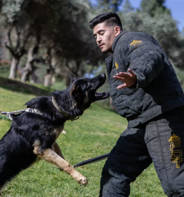 Israel Protection K9
