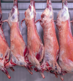 Best Meat Suppliers in India – Ettemad Agro Pvt Ltd.