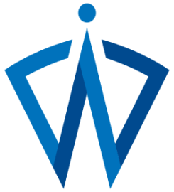 Vin Bytes – Digital Transformation & Technology Consulting