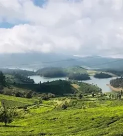 A Refreshing Hill Getaway with Ooty Kodaikanal Family Tour Packages from Bangalore