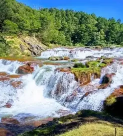 A Refreshing Hill Getaway with Ooty Kodaikanal Family Tour Packages from Bangalore