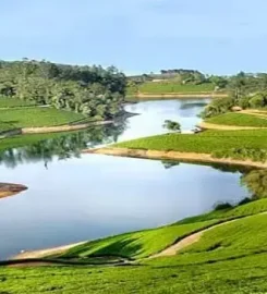 A Refreshing Hill Getaway with Ooty Kodaikanal Family Tour Packages from Bangalore