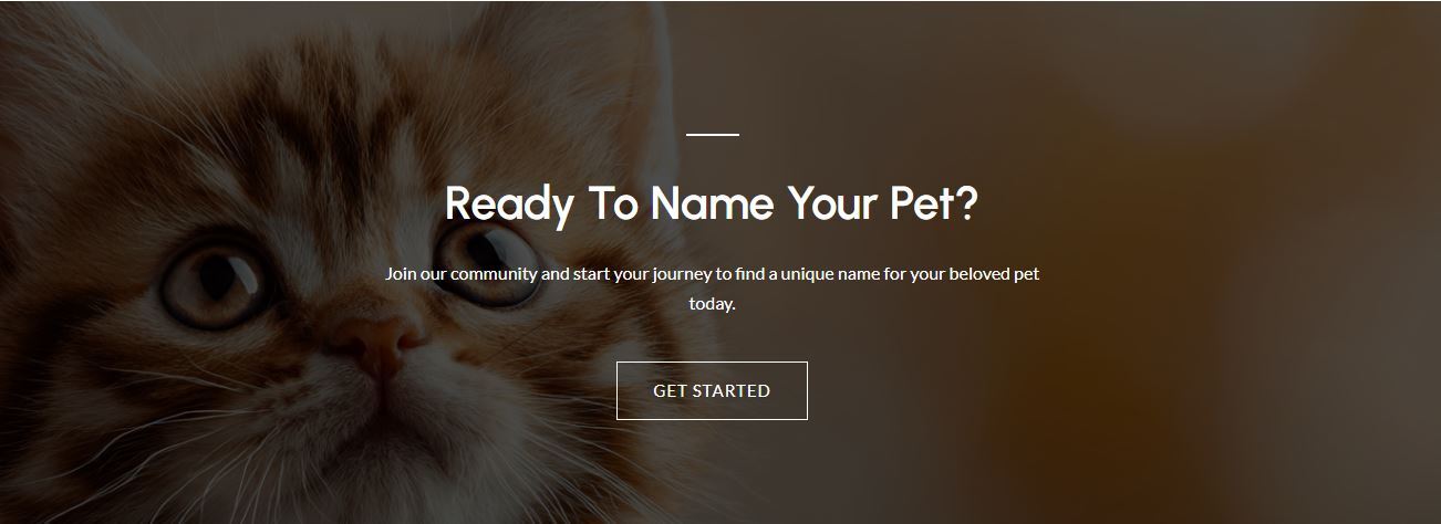 Best Pet Names 🐶🐱 | Cute, Unique Dog & Cat Name Ideas