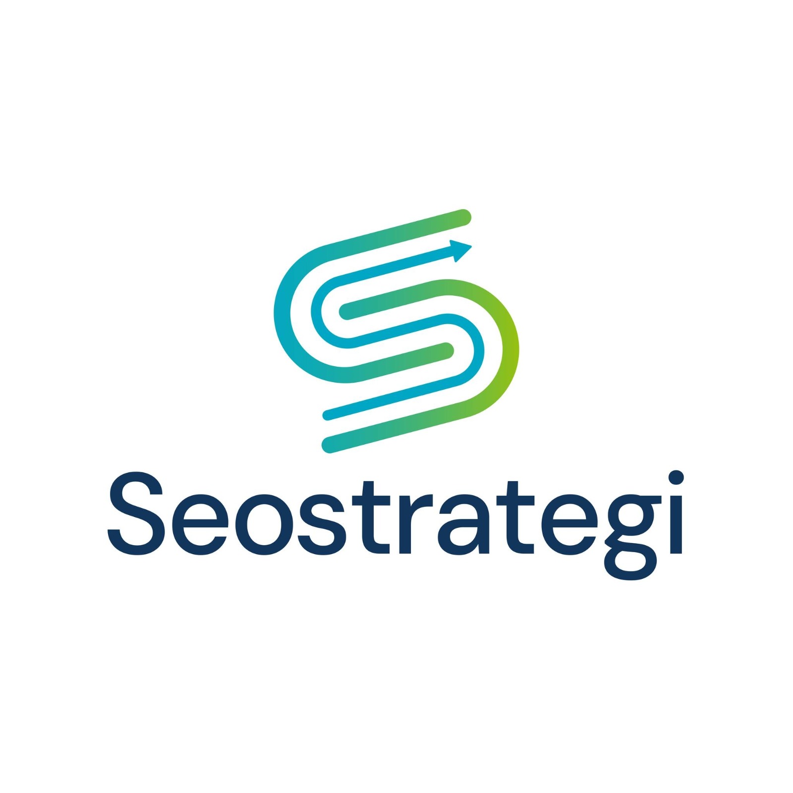 Seo Byrå